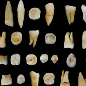 Fossils show that modern people come to Asia earlier than Europe