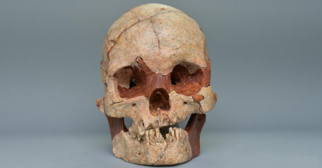 Found 16,000-year-old human skull nearly intact