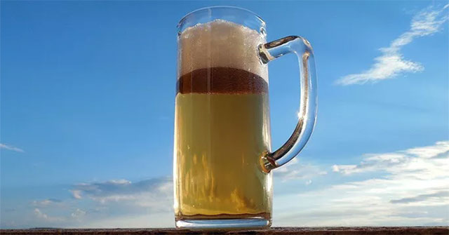 Found 500-year-old draft beer in shipwrecks of the Middle Ages