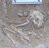 Found 5,600-year-old cat bones in Egypt
