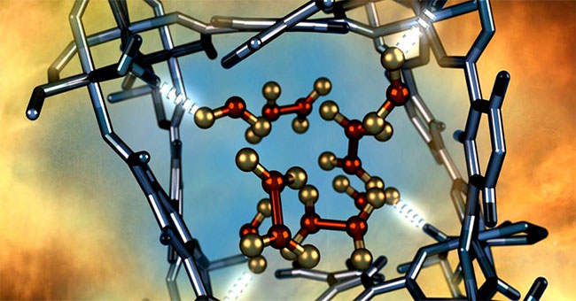 Found a kind of material that can trap toxic emissions in the air