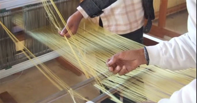 Found a way to transform genes to create spider silk like Spider Man