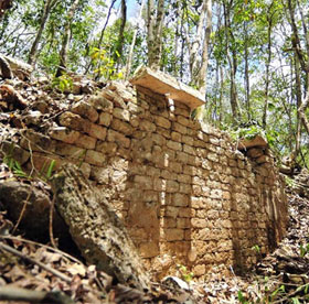 Found ancient Mayan city in Mexican forest
