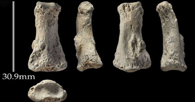 Found bones of 9,000-year-old rotten fingers in Saudi Arabia