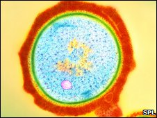 Found clues of antibacterial hybrid resistance