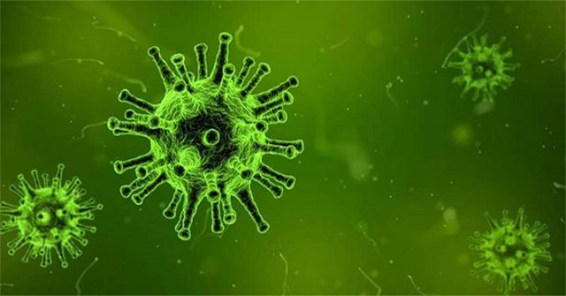 Found 'crystal' proteins of many viruses