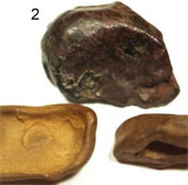 Found evidence in the Tunguska case?