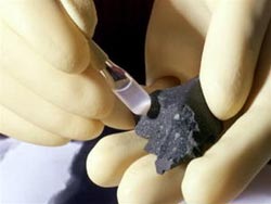 Found evidence of life originating out of Earth