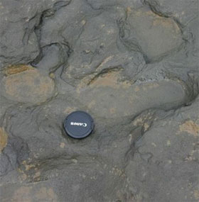 Found footprints of people who lived 800,000 years ago