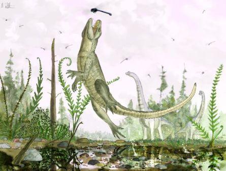 Found fossil 'cat crocodile' in East Africa