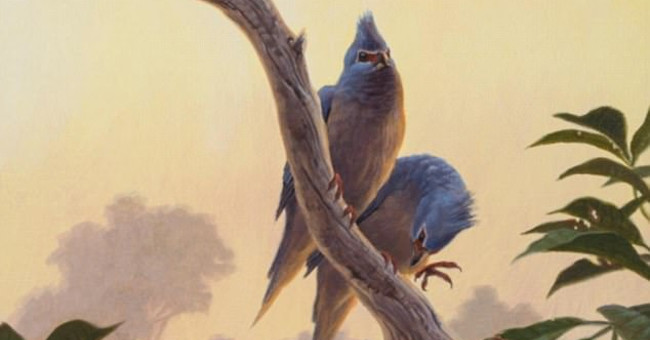 Found fossils of ancient birds after dinosaurs extinction