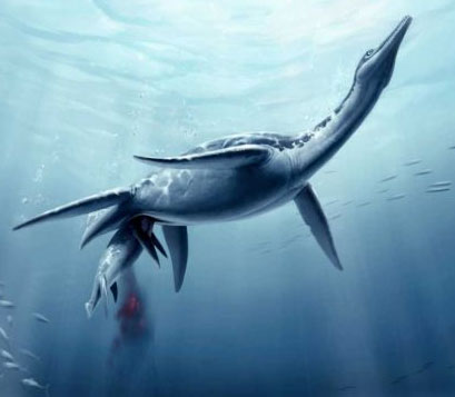 Found fossils of marine reptiles carrying embryos