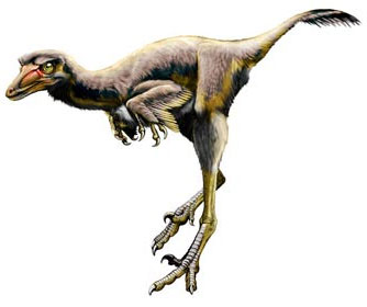 Found fossils of new dinosaurs