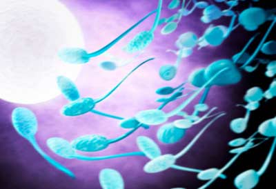 Found infertility genes in men
