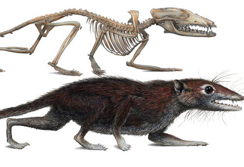 Found 'Jurassic mother'