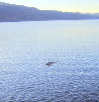 Found Loch Ness monster