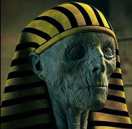 Found many strange mummies