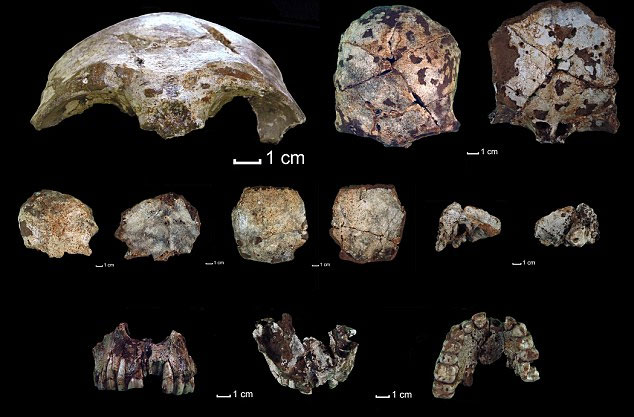 Found more than 40,000 years old skull in Laos