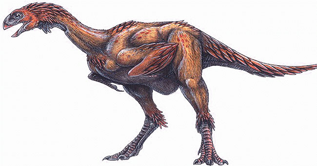 Found small dinosaur fossils like