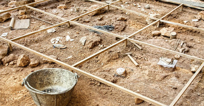 Found the ancient elephant remains that lived 3 million years ago