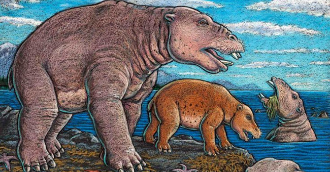 Found the ancient hippo fossil named