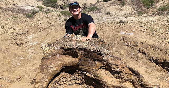 Found the dinosaur skull dating to 65 million years in the United States