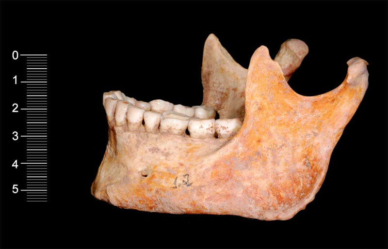 Found the oldest DNA of humanity