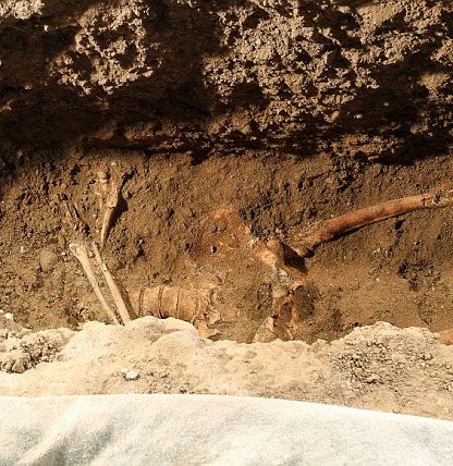 Found the remains of the Mona Lisa?