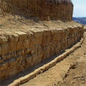 Found the tomb of Alexander the Great?