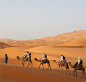 Found the true age of the Sahara desert?