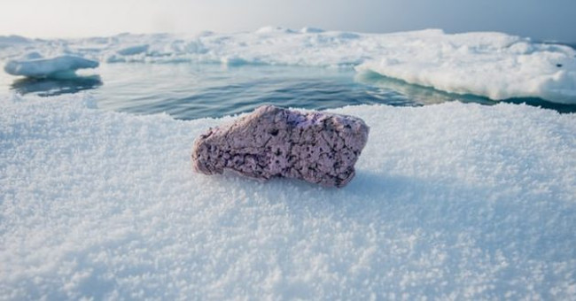 Found this in the Arctic, the scientists are extremely worried