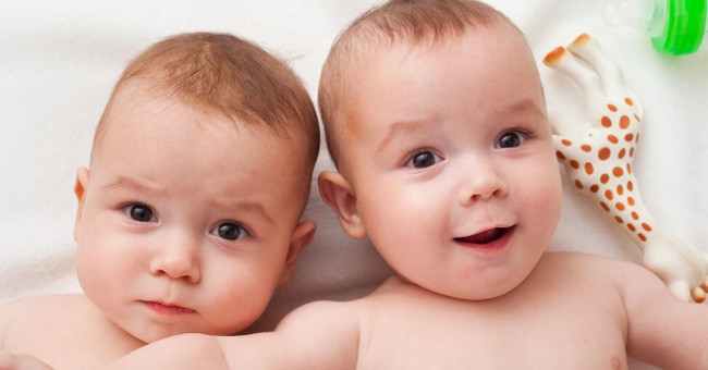 Found twins in humans