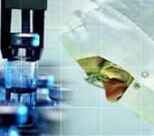 France: Allows research on human embryos