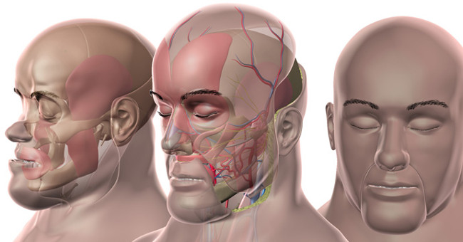 French doctors have made history, when transplanted a second face for the same person
