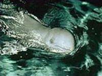 Freshwater dolphins disappear from the Mekong basin