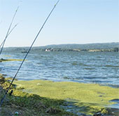 Freshwater in Europe is polluted worse than estimated