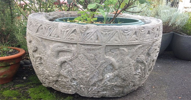 From 2 porcupines drowning, discover precious objects of VND 120 million