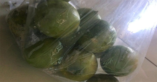 From powdered vegetables, female students create 'nylon' bags that can dissolve in water