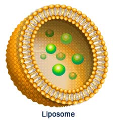 From the Lego toy model: There is an effective remedy for anthrax