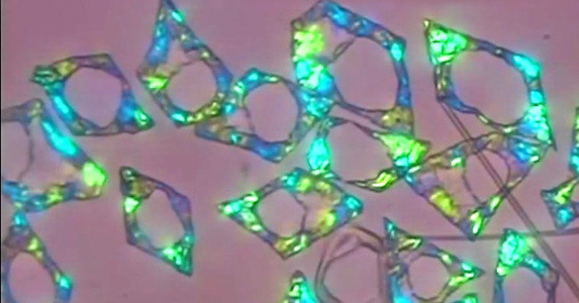 Frozen oil can be the key to creating transformational materials
