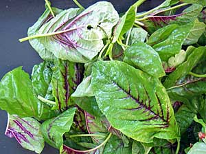 Fruits cannot replace vegetables