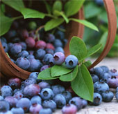 Fruits reduce the risk of type 2 diabetes