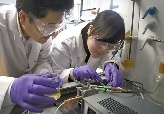 Fuel cell chips were enlightened