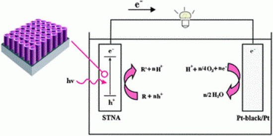 Fuel cells purify water and generate electricity
