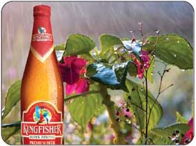 Fun for beer and fermented products