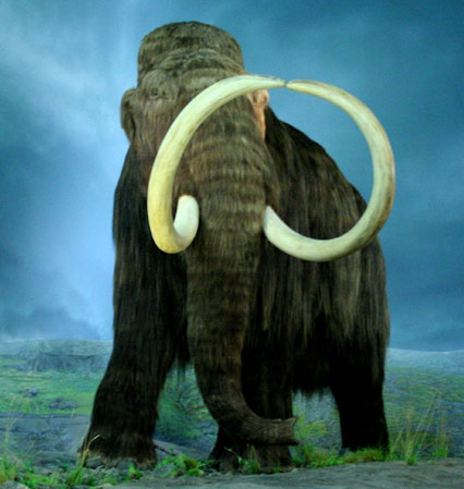 Future parks will have prehistoric mammoths