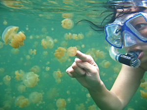 Future sea will become