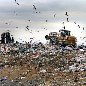 Garbage is also a resource to take advantage of