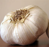 Garlic against infection in children