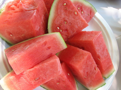 'Gasoline' made from watermelon